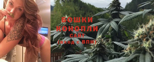 эйфоретик Инсар