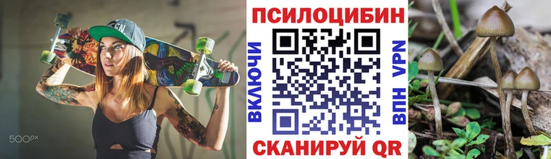 Псилоцибиновые грибы Psilocybe Ворсма